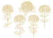 Set of one-colored outlined chrysanthemum
