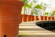 Arched row of ceramic pottery plant pots