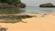 Video: Tropical Beach Tropical Beach