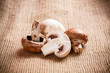 Fresh champignons