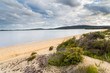 Sandy Beach Near Walpole
