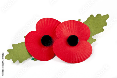Photo: Poppies Poppies