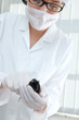 Scientist holds laboratory mouse