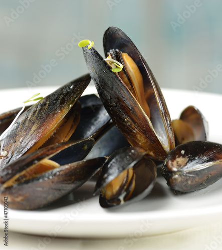 Photo: Mussels Mussels