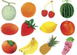 Fruit set