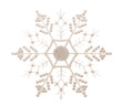 Glittery Snowflake Isolated on White