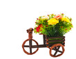 small tricycle and flower.