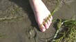 Feet in Sand at Beach