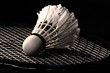 Shuttlecock on badminton racket