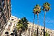 Palm trees at Placa Reial, Barcelona