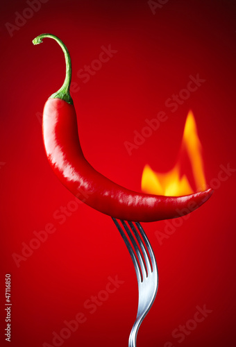 Photo: burning red chili pepper on red background burning red chili pepper on red background