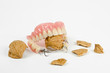 tough teeth