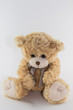 ourson en peluche-doudou