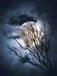 Full moon night