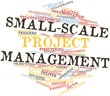 Word cloud for Small-scale project management