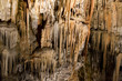 Postojna Cave - Slovenia