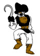 Pirate carnival costume