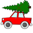Bringing a tree home
