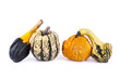 Courge - Cucurbitacés