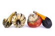 Courge - Cucurbitacés