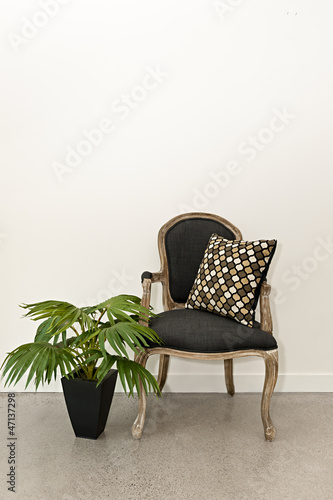 Photo: Antique armchair and plant near wall Antique armchair and plant near wall