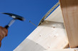 Carpenter at work