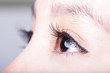 Beautiful woman eye