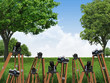 black camera on nature background 