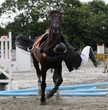 cavalier désarçonné