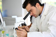 Photo: Doctor in biology working on microscope Doctor in biology working on microscope