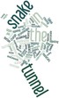 Word cloud for Snake in the tunnel