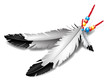 Native Feathers