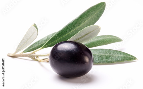 Photo: Ripe black olive with leaves. Ripe black olive with leaves.
