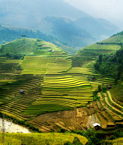 Photo: rice field on terraced in mountain. Terraced rice fields in Viet rice field on terraced in mountain. Terraced rice fields in Viet