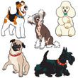 set with dogs