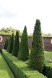 topiary in line