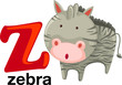 Vector: Animal alphabet letter - Z Animal alphabet letter - Z