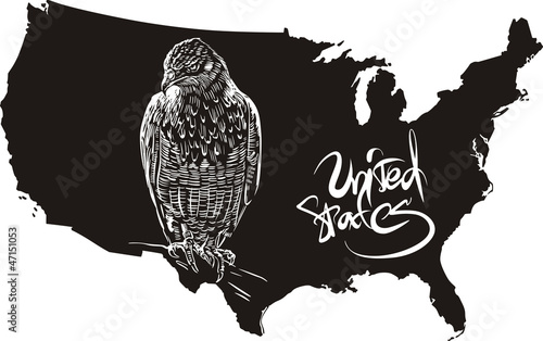 Vector: Hawk and U.S. outline map Hawk and U.S. outline map