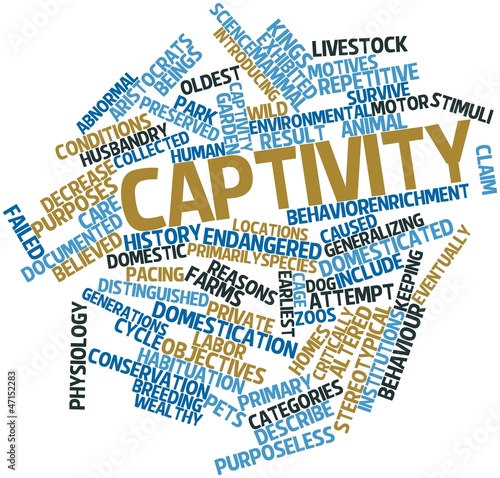 Illustration: Word cloud for Captivity Word cloud for Captivity