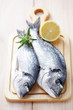 dorada fish