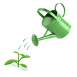 Watering can waters seedling