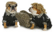 diva dogs