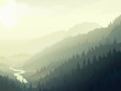 Wild coniferous wood in a morning fog.