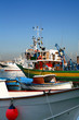Quadro procida Quadro procida