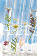 Foto: Huiles essentielles - Industrie Huiles essentielles - Industrie