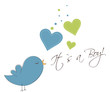 Vogel zwitschert: It`s a Boy!