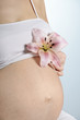 Pregnancy