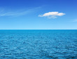 Ocean view