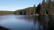 See im Wald mit leichten Wellen