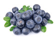 Blueberries with leaves